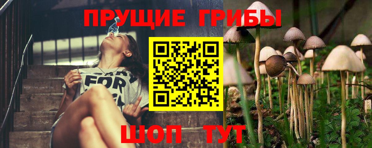 как найти   Вход с VPN  Севастополь  Галлюциногенные грибы Cubensis 
